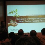 Kerangka Pengaman Stranas REDD+
