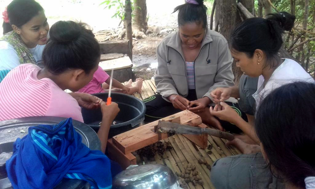 Praktek langsung pengupasan dan pengacipan biji mete oleh Kelompok Petani Perempuan Bangkit Bersama di Desa Sugian (Foto Bayu KpSHK. 19 Maret 2019).